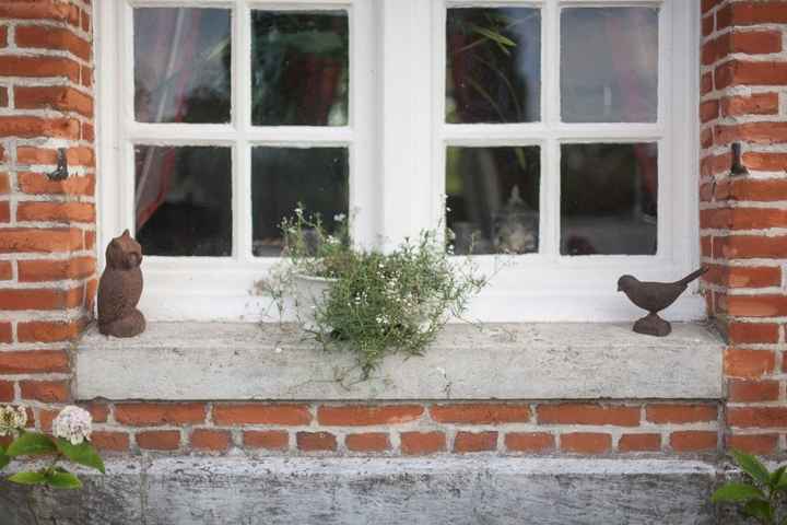 Notre séance day after aux jardins d'Angélique à Montmain (76)