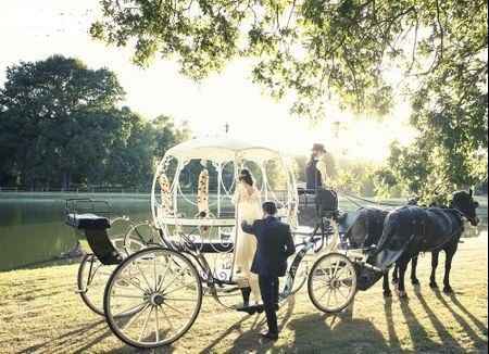 J'organise mon mariage disney ! - 1