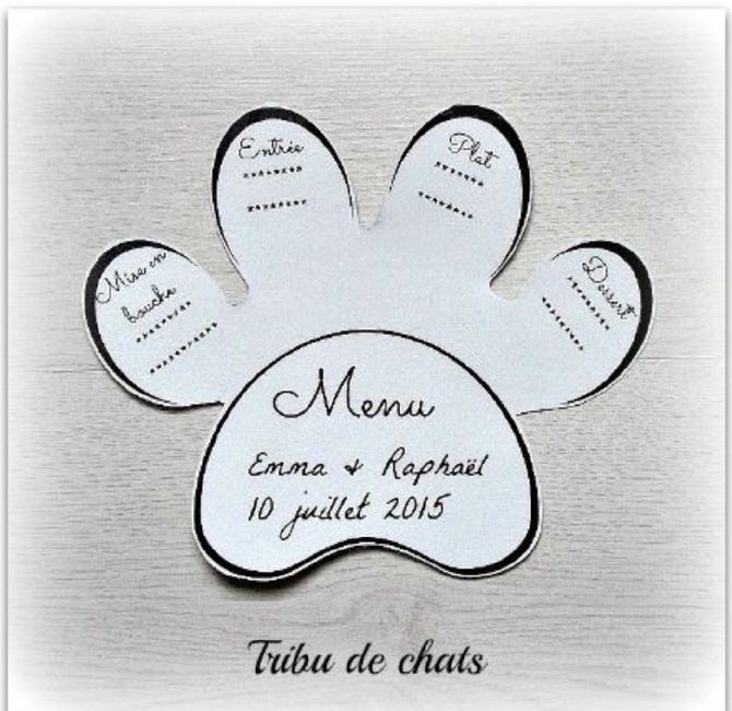 Des chats, des chats, encore et encore ! - 2