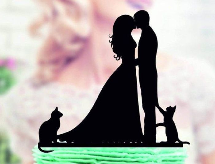 Des chats, des chats, encore et encore ! - 3