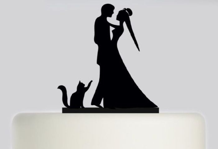 Des chats, des chats, encore et encore ! - 4