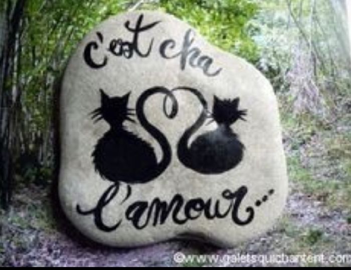Des chats, des chats, encore et encore ! - 8