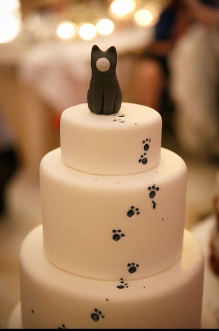 Des chats, des chats, encore et encore ! - 9