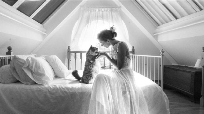 La mariée et son chat 1