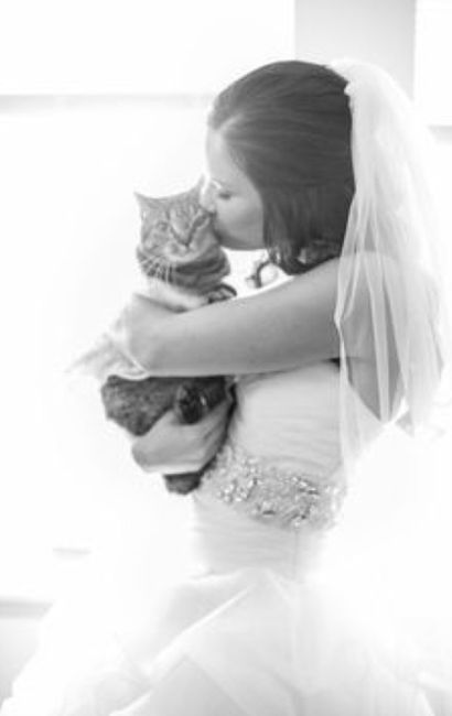 La mariée et son chat 6