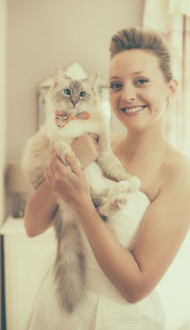 La mariée et son chat 13