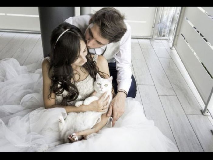 La mariée et son chat 1