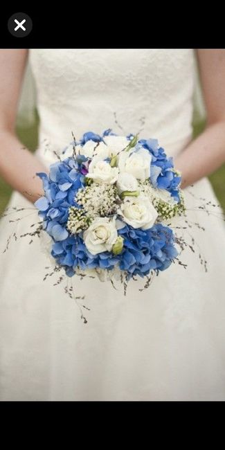 Bouquet d'hortensia? - 2