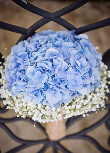 Bouquet d'hortensia? - 5