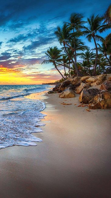 Le cadre parfait 😍🖼️ - 4