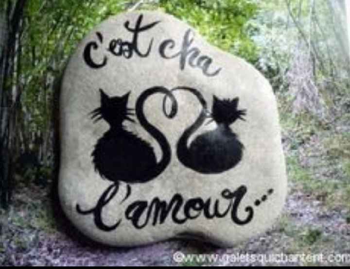 Des chats, des chats, encore et encore ! - 8