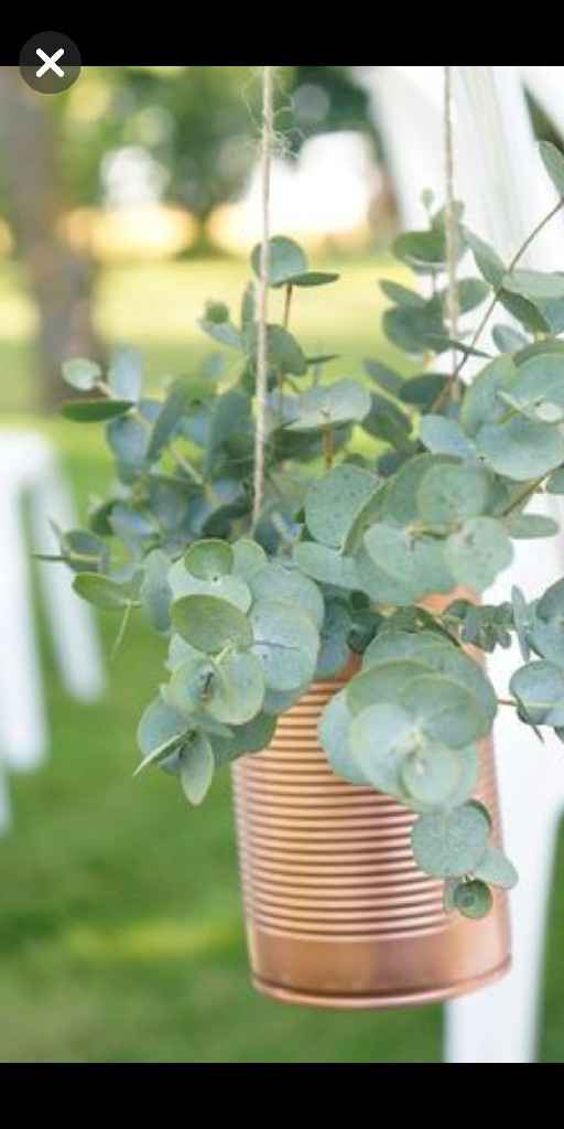 Inspiration Eucalyptus - 3