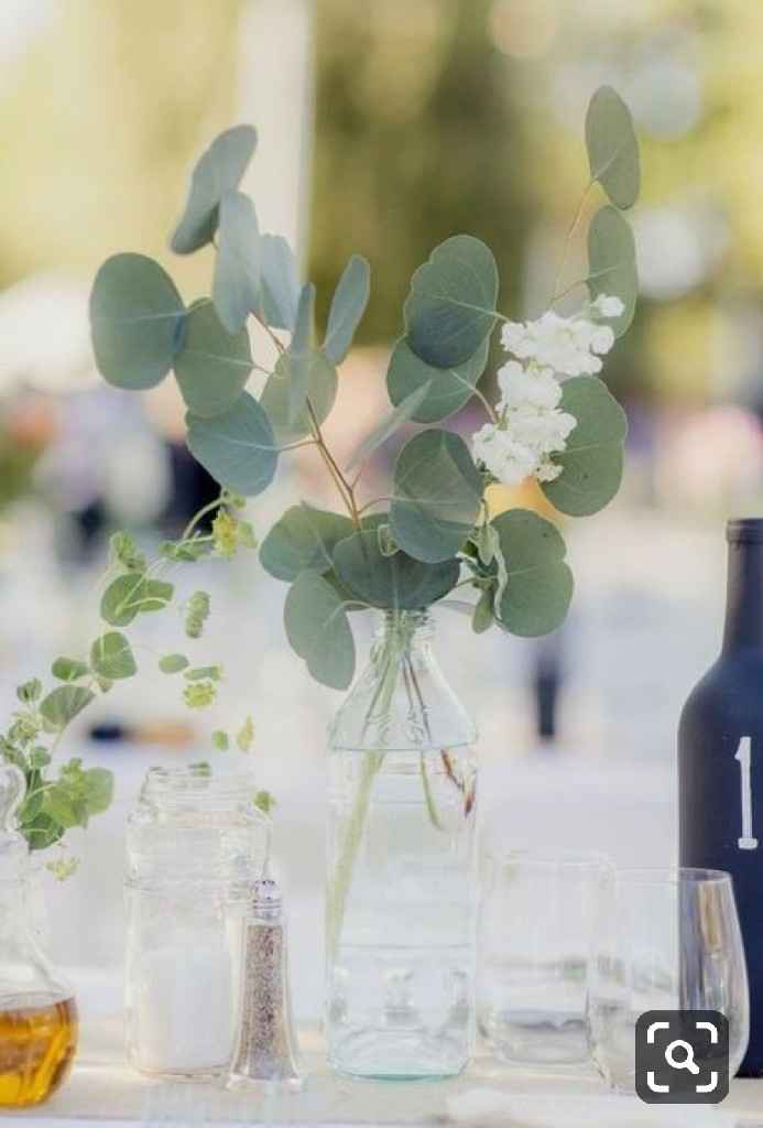 Inspiration Eucalyptus - 7