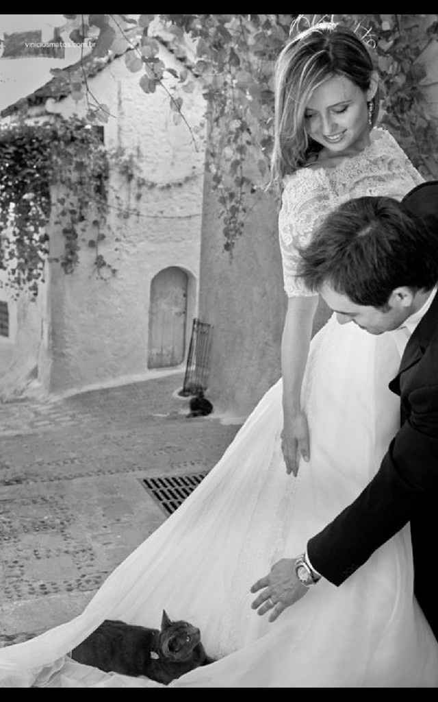 La mariée et son chat - 9