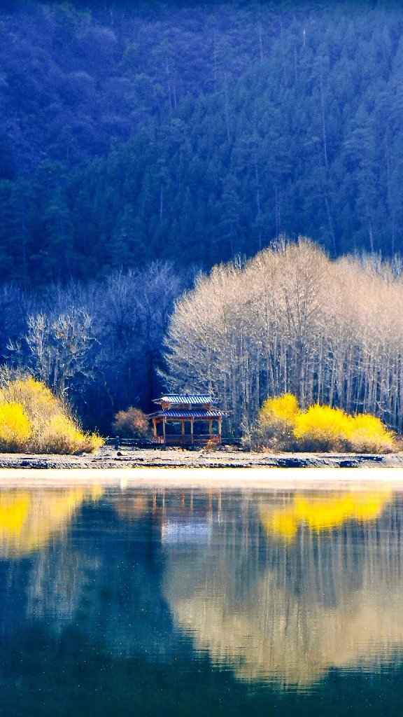 Le cadre parfait 😍🖼️ - 2