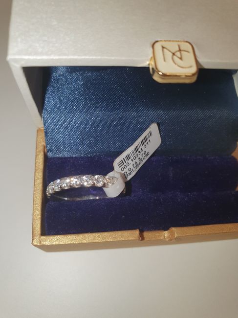Mon alliance ... suite de mes déconvenues... 12