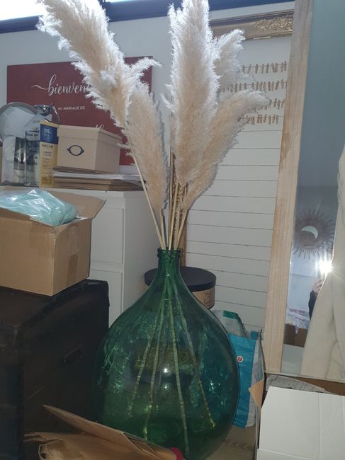 Mes pampas trouvés ! 1