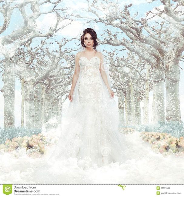 Mariage princesse disney - elsa, la reine des neiges - 18