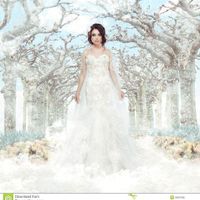Mariage princesse disney - elsa, la reine des neiges - 18