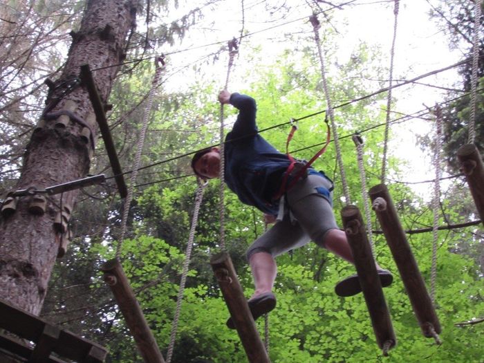 Comme un oiseau dans l'arbre :p
