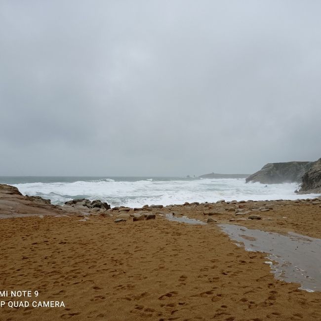 La demande en Mariage ! 3