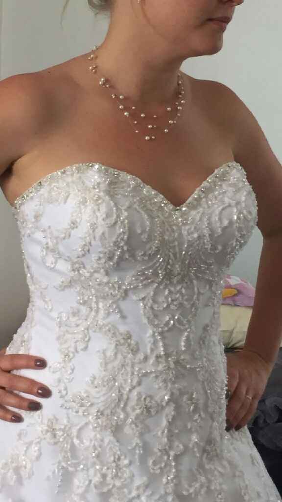 Quel collier choisir ? - 1