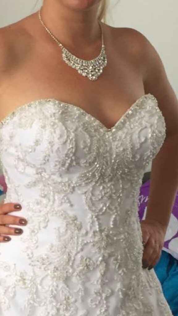 Quel collier choisir ? - 2