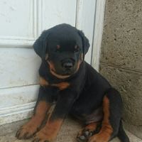 On avance doucement ... - 1