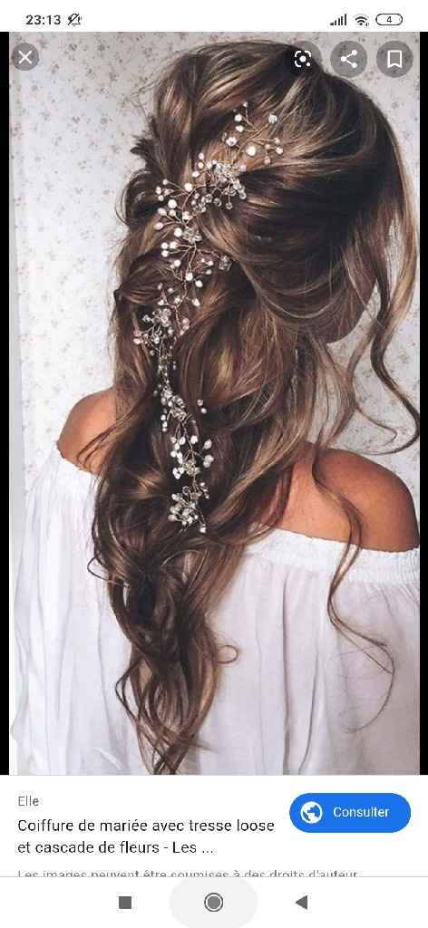 Où trouver ce bijou de cheveux ? - 1