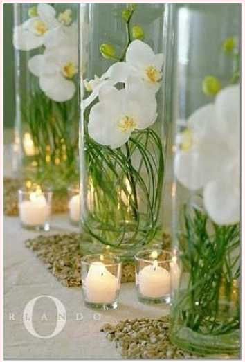 Centre de table orchidées