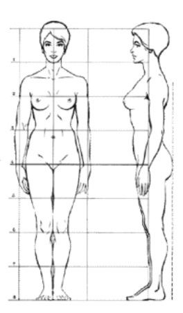 Proportions