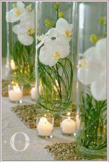 Centre de table orchidées