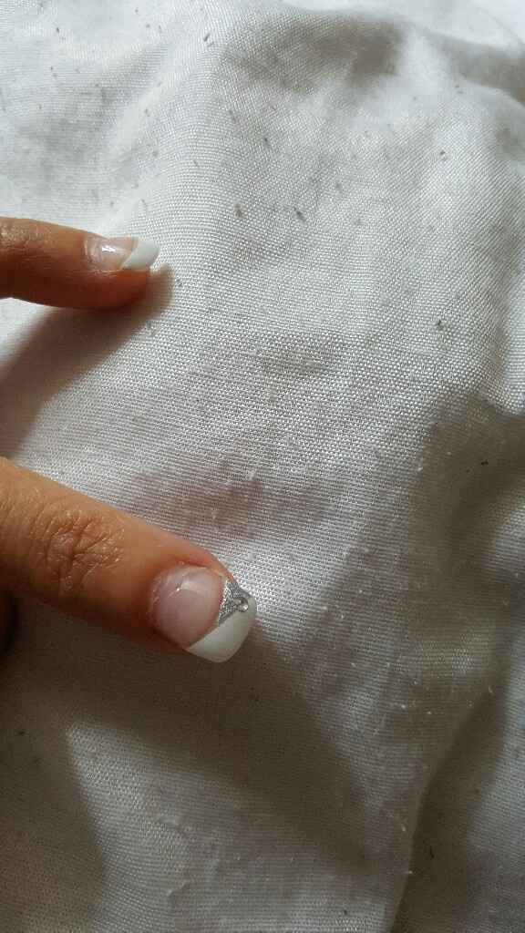 Exemple de manicure - 1