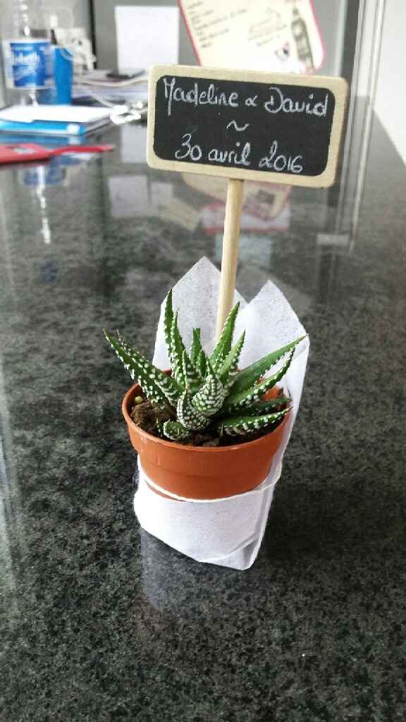 À une semaine du jour j : réception des cadeaux pour les invités - arée succulentes - 5