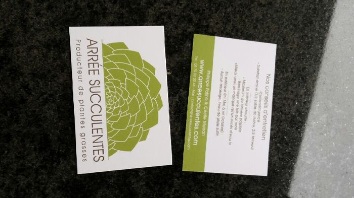 À une semaine du jour j : réception des cadeaux pour les invités - arée succulentes - 2