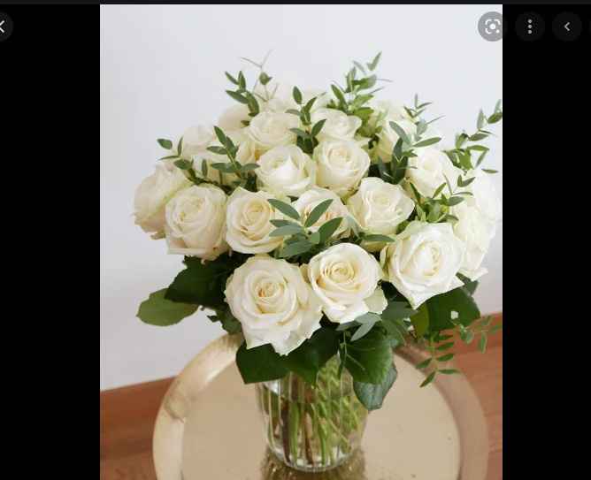 ROSE BLANCHE HOMMAGE 