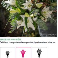 Idée bouquet mariée