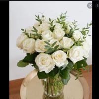 ROSE BLANCHE HOMMAGE 