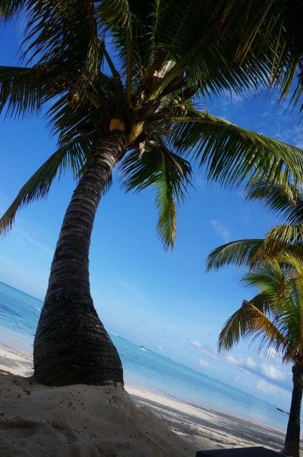 plage de l'hotel
