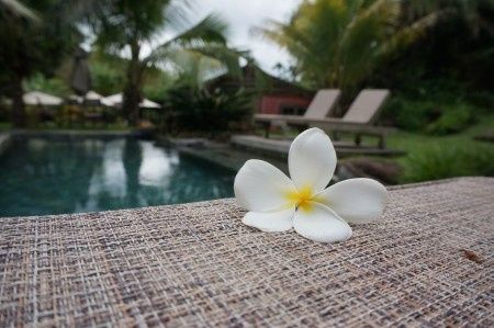 piscine de l'hotel