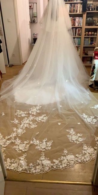 Avec ou Sans... Voile ! 👰 1