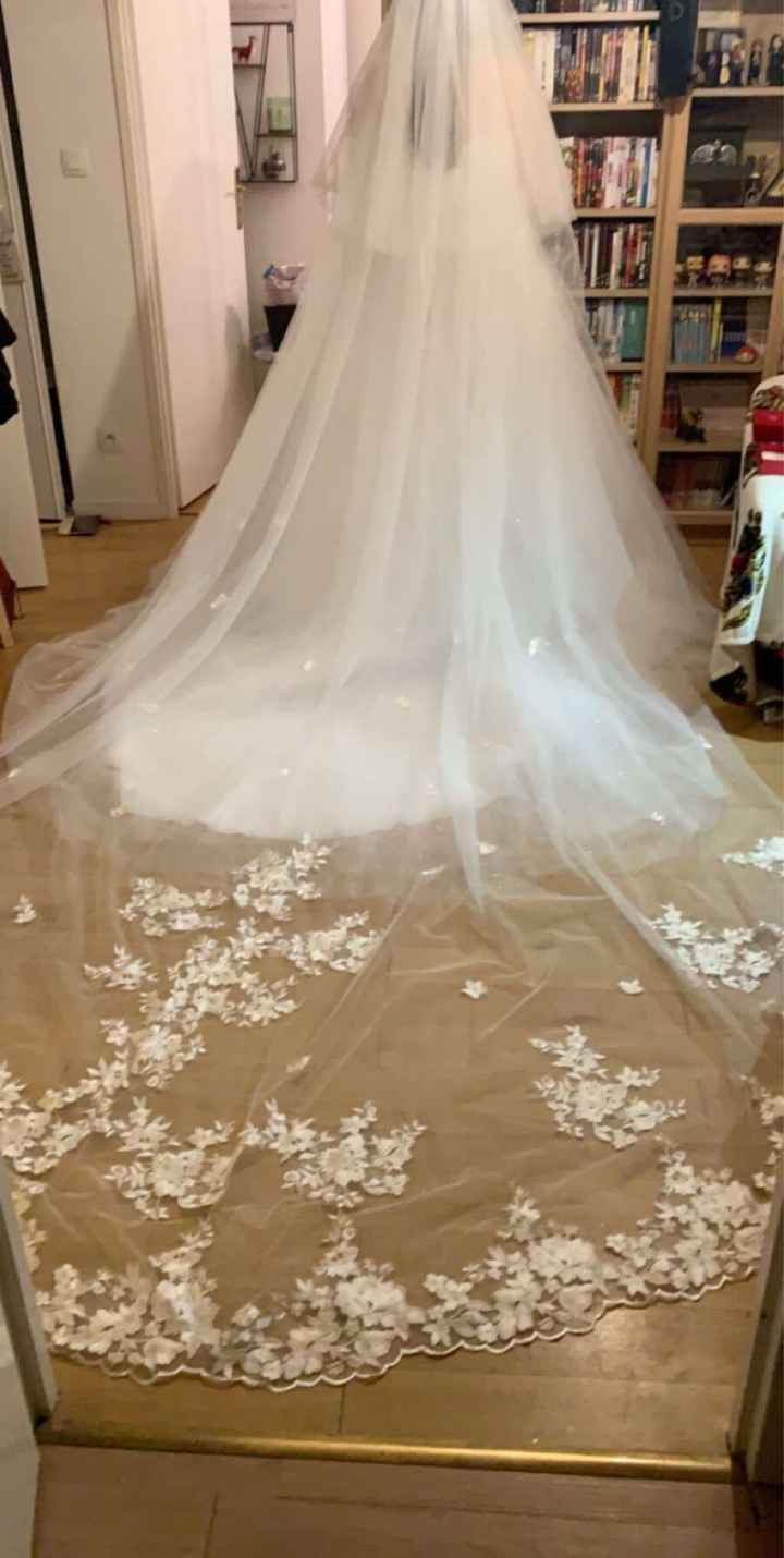 Avec ou Sans... Voile ! 👰 - 1