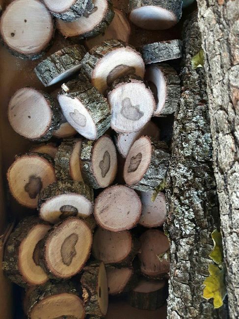 Mes marques places 😘 - 2