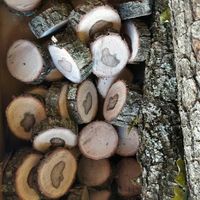 Mes marques places 😘 - 2