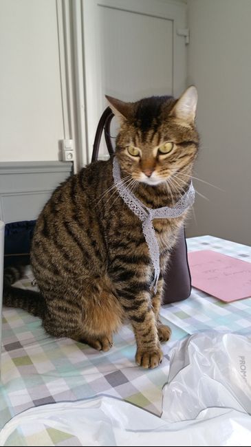 Mes premiers pas... - 2