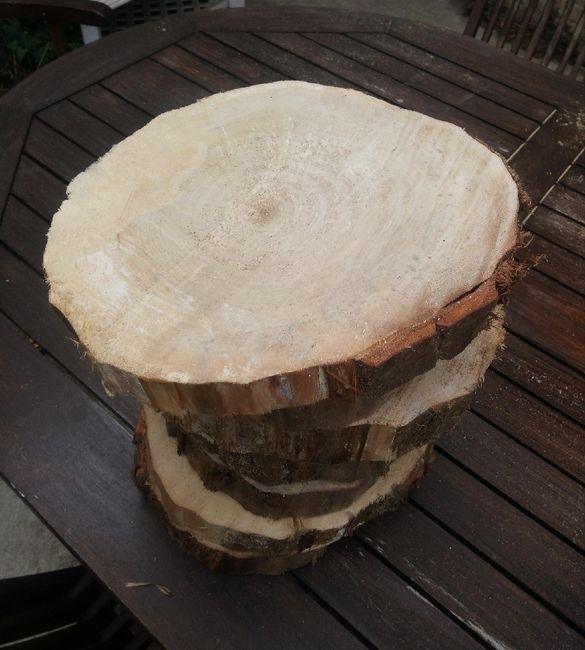 Rondin de bois - 1