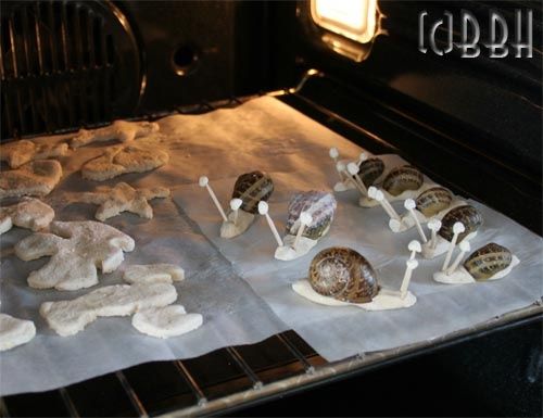 escargot en pate a sel