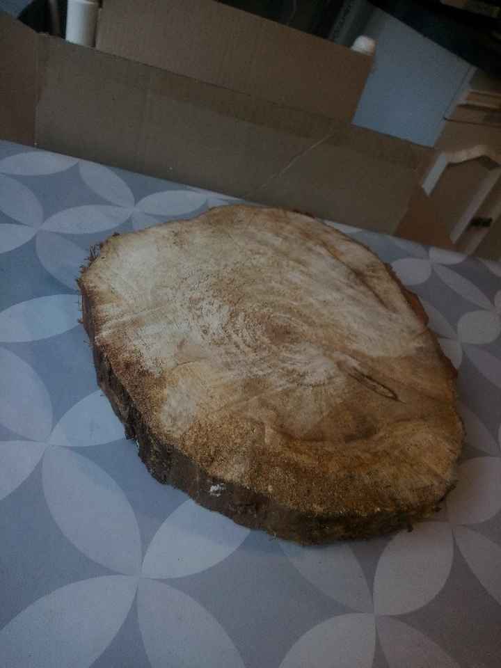 Rondin de bois - 3