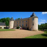 Décoration rose blanche et or - 5