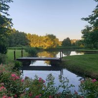 Décoration rose blanche et or - 6